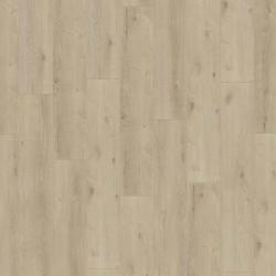 KRONOTEX EXQUISIT PLUS D6021 KASHMIR OAK BEIGE